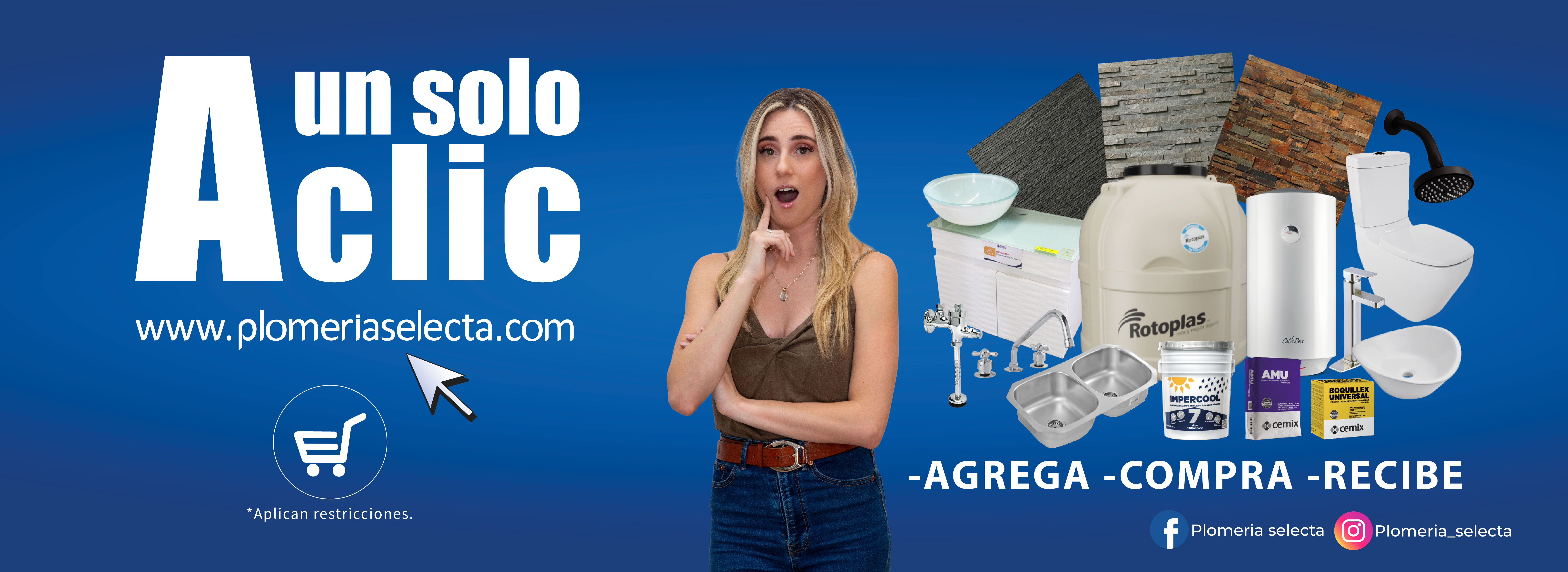 Plomeria selecta banners